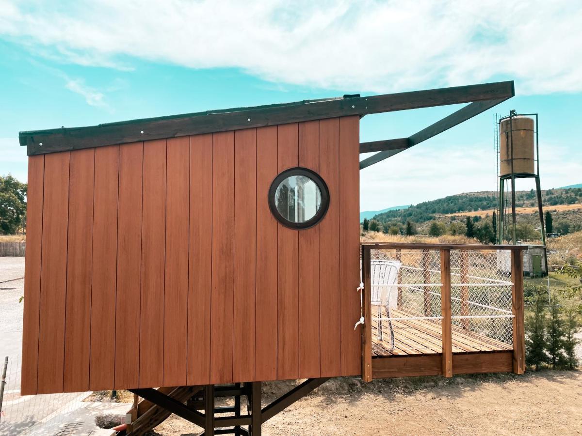 El Arrebol Comfort Camp Jaca Eksteriør bilde